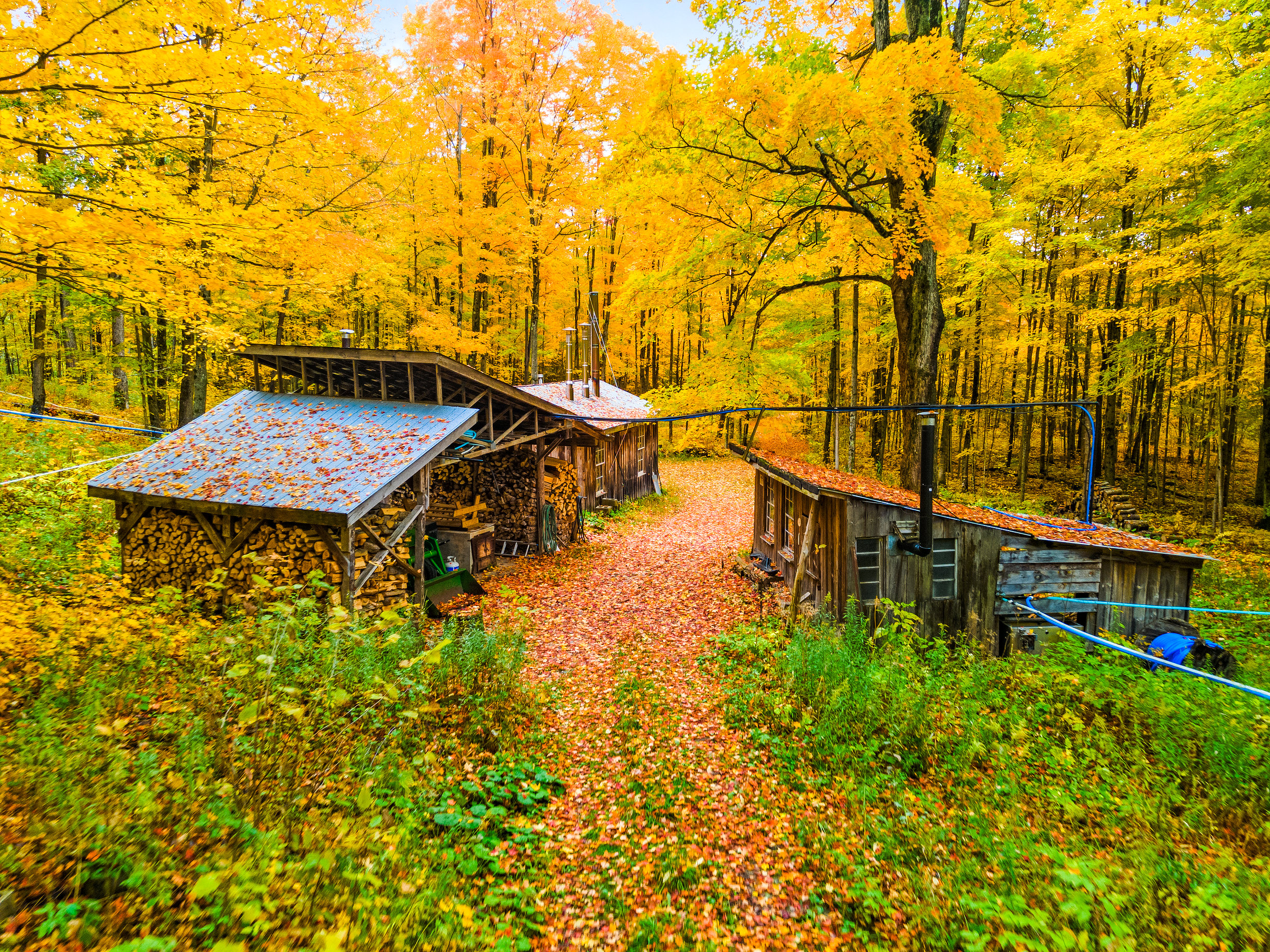 Lind_Oct_14_DJI_0287_lg
